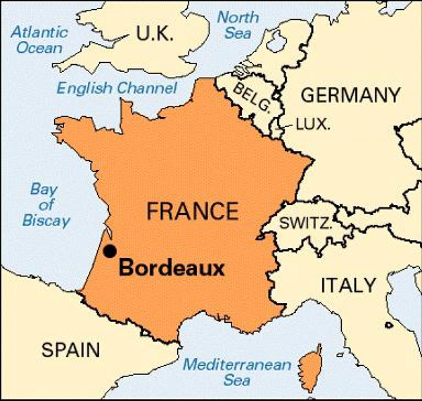 Nho xuất xứ từ vùng Bordeaux và Loire Valley của Pháp